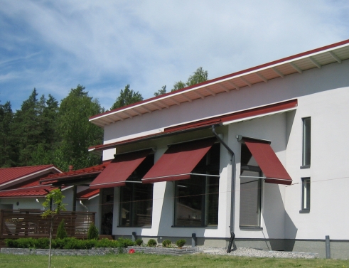 Robusta
